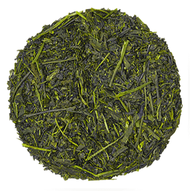 sencha