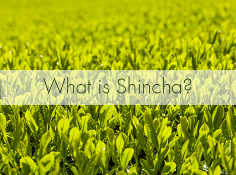 blog thumbnail - what is shincha