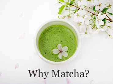 Image for Post - Why Matcha?