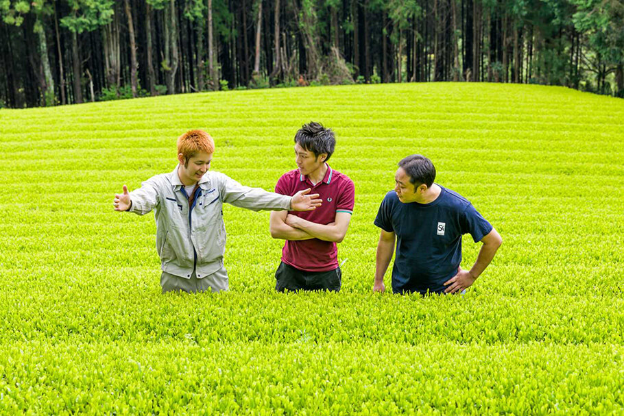 Sustainability of Japanese Green Tea