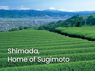 Image for Post - Shimada, Home of Sugimoto