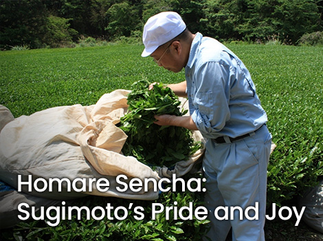 Homare-Sencha