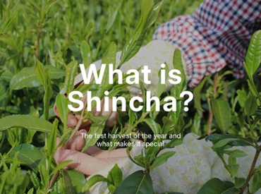 Image for Post - What Is Shincha?