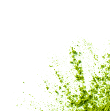 Image of Matcha Powder